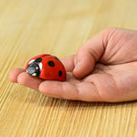 Bumbu Wooden Ladybird