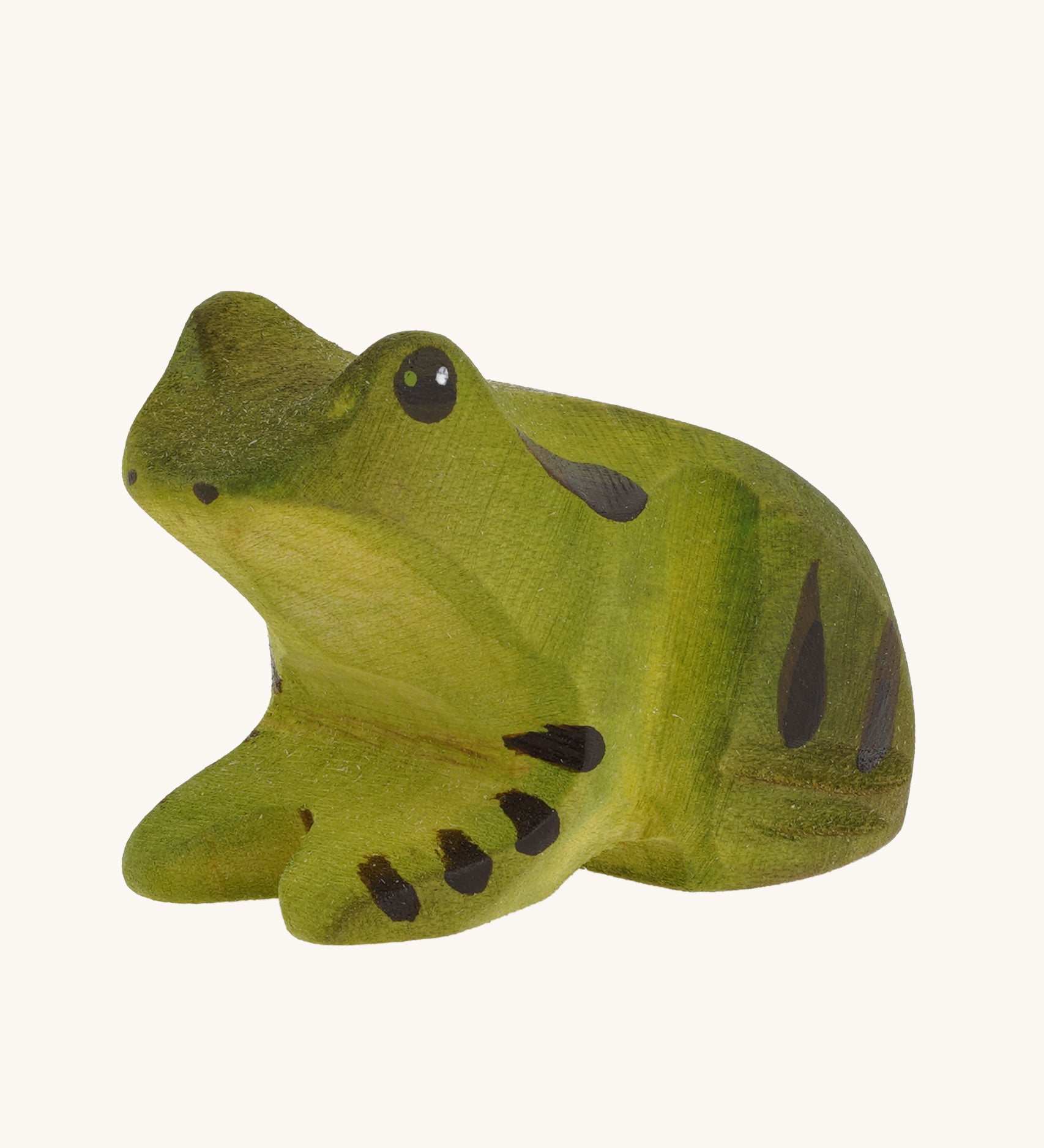 The Bumbu Frog is painted in shades of green with black details for a realistic look. 