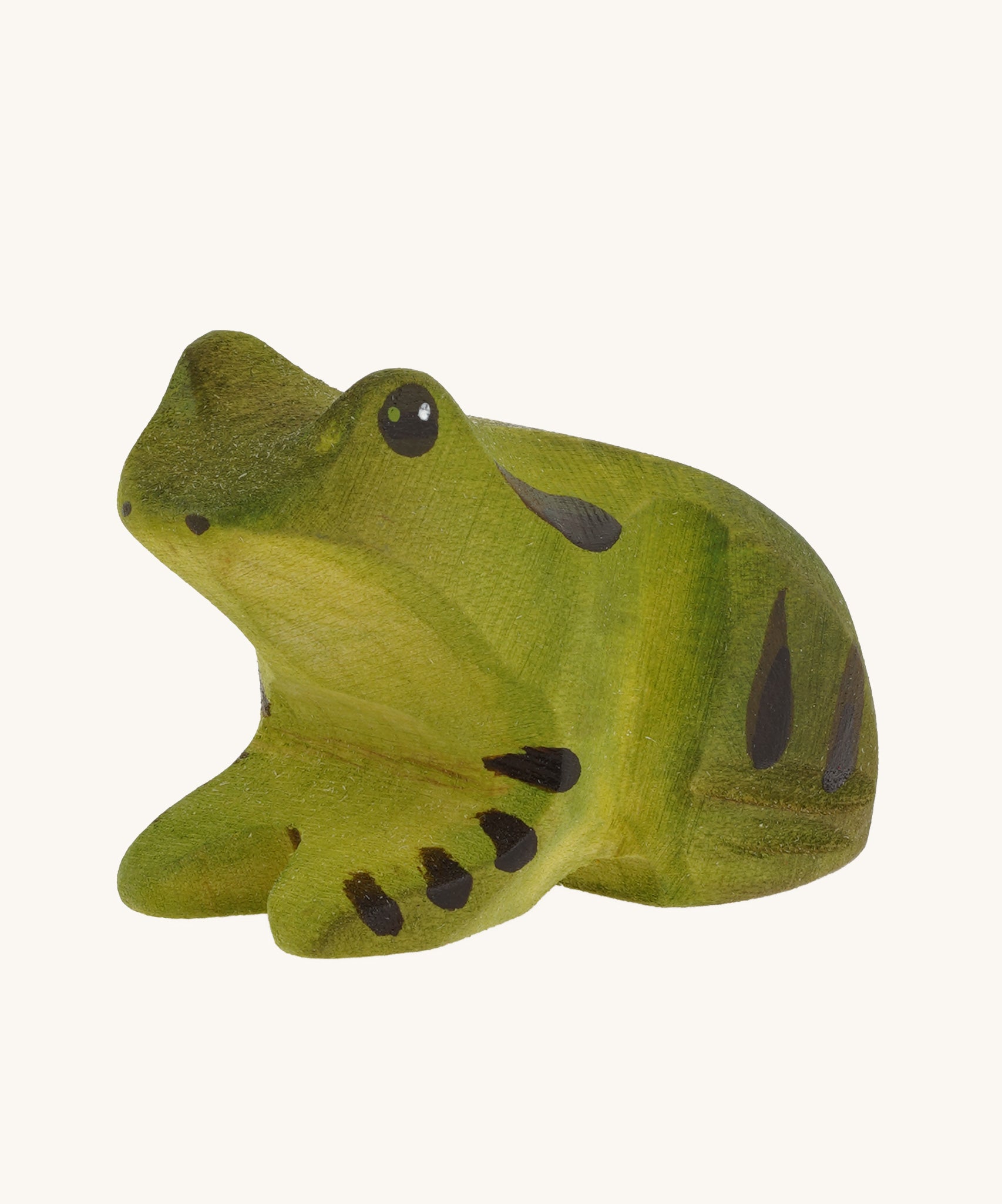 The Bumbu Frog is painted in shades of green with black details for a realistic look. 