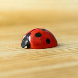 Coccinelle en bois Bumbu