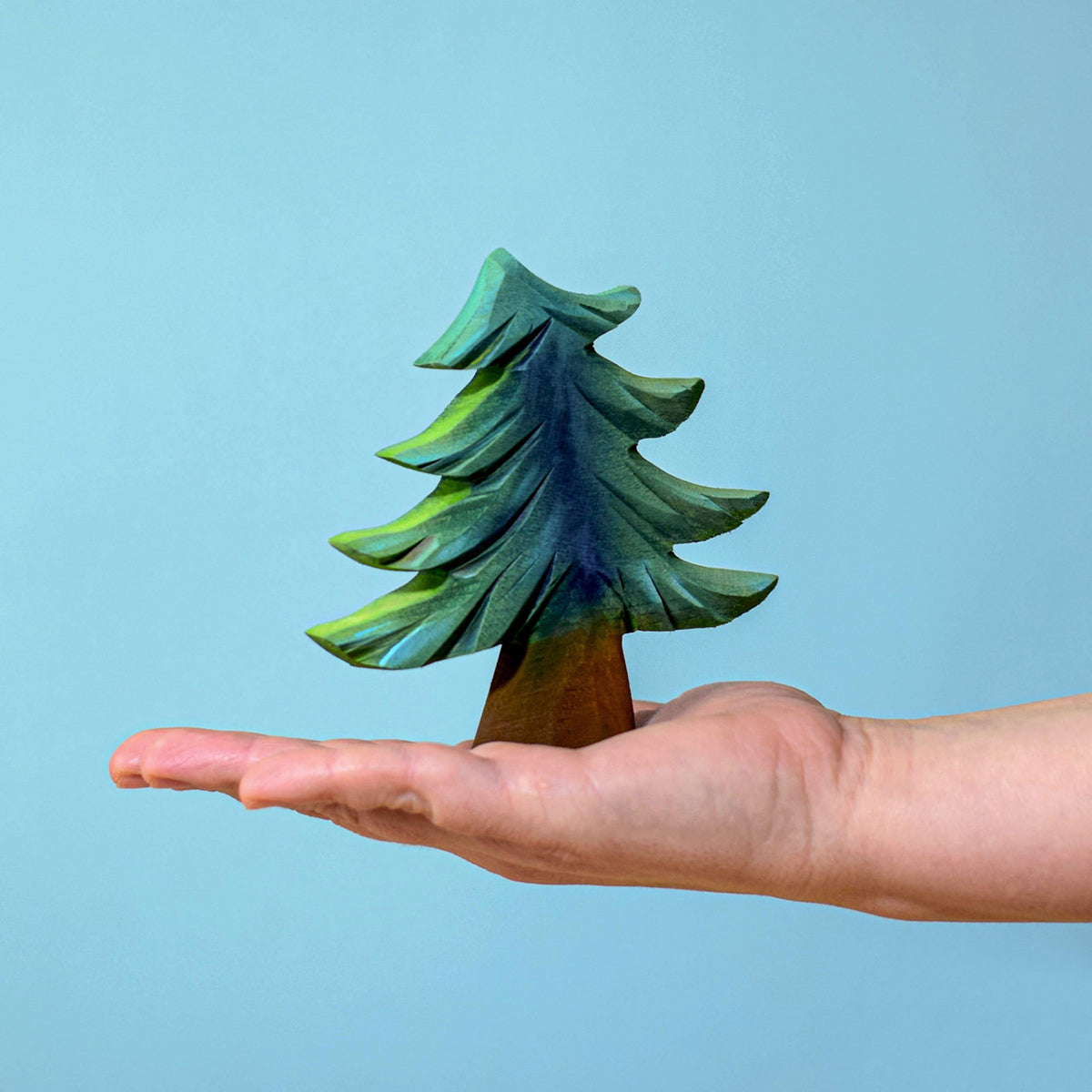 and a brown tree trunk displayed on a wooden table with a blue background