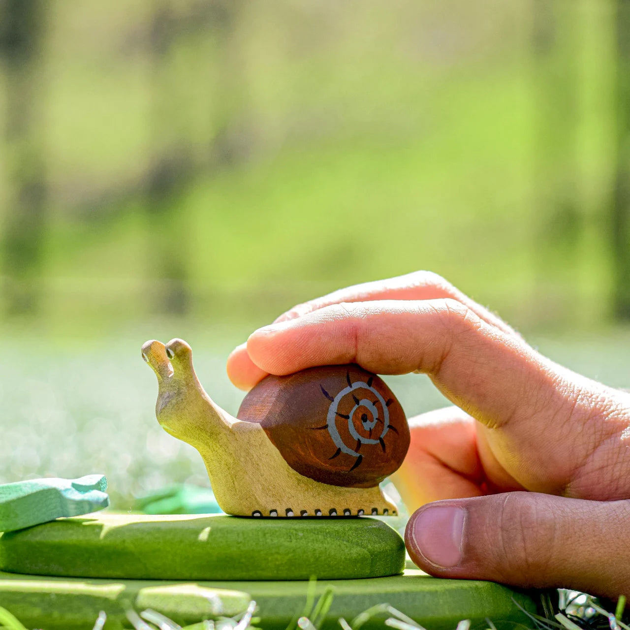 An adult's hand can bee seen touching the snails shell