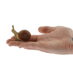 Bumbu Wooden Snail Figure