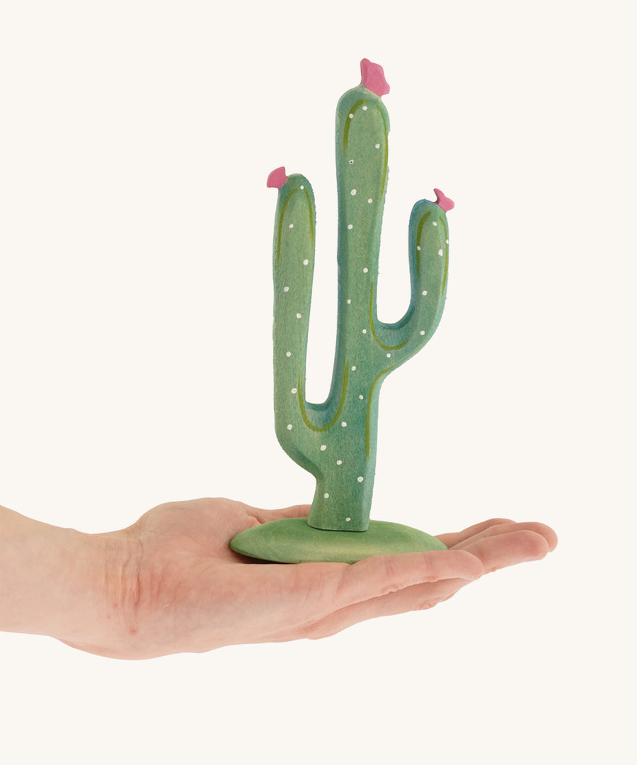 Green Bumbu cactus with pink flowers on a hand 