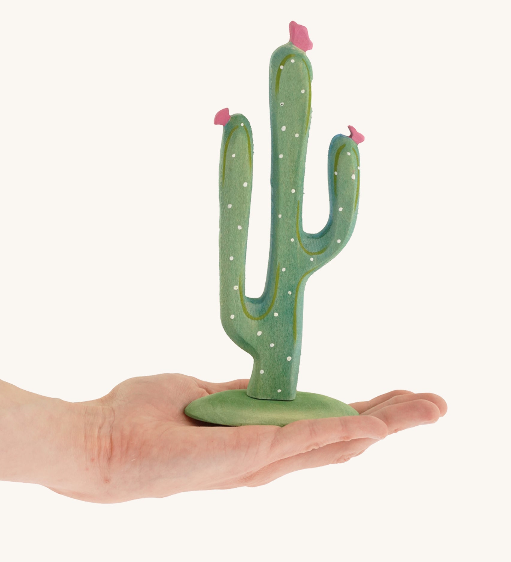 Green Bumbu cactus with pink flowers on a hand 