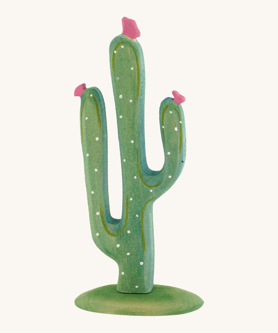 Green Bumbu cactus with pink flowers on a cream background