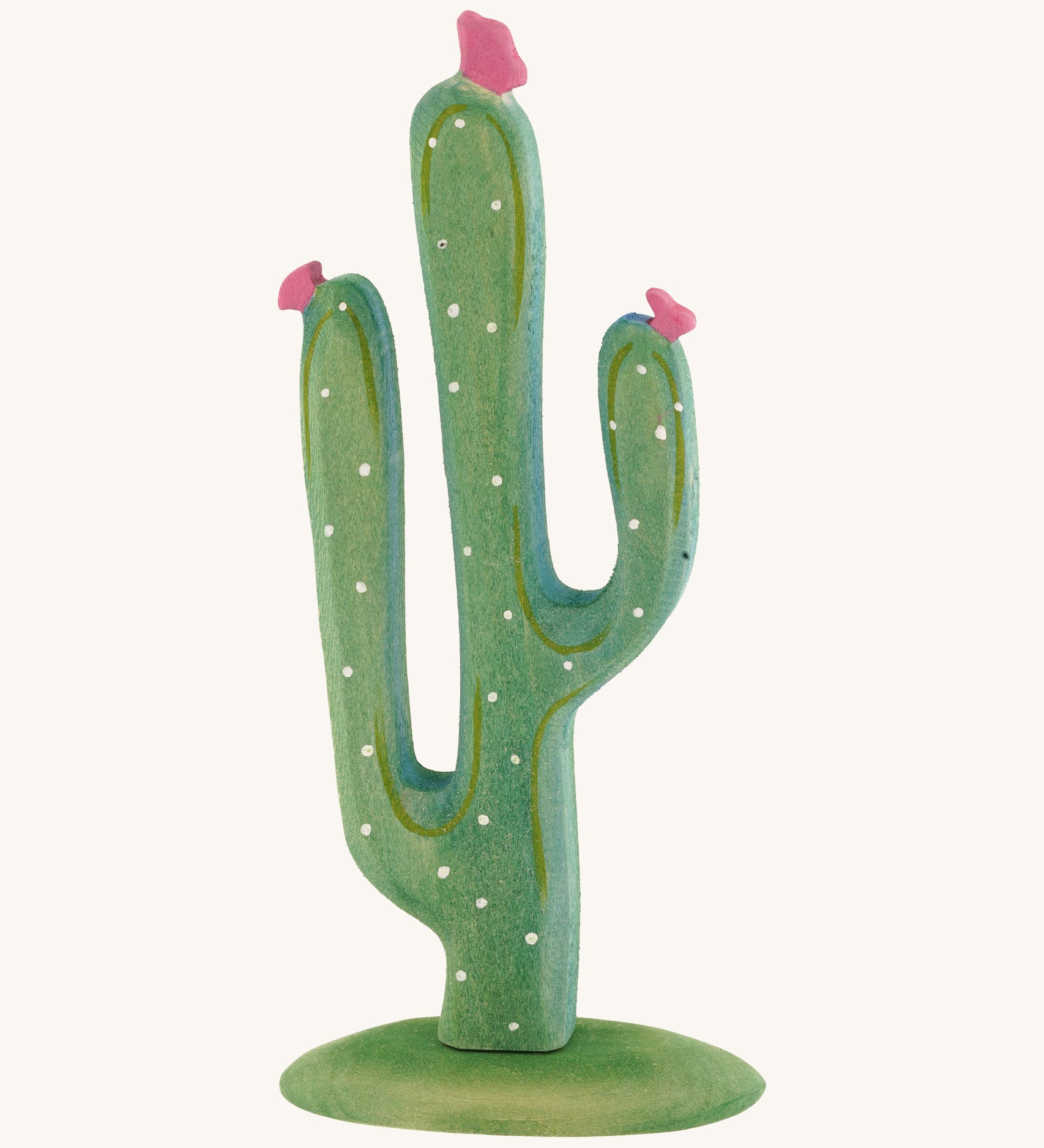 Green Bumbu cactus with pink flowers on a cream background