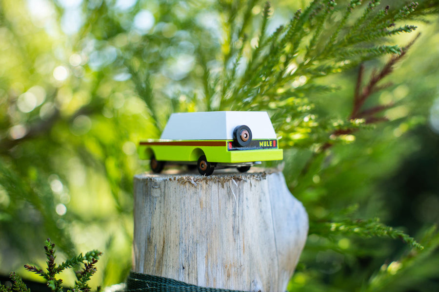 Candylab eco-friendly collectable wooden suv toy on a wooden post in front of some green leaves