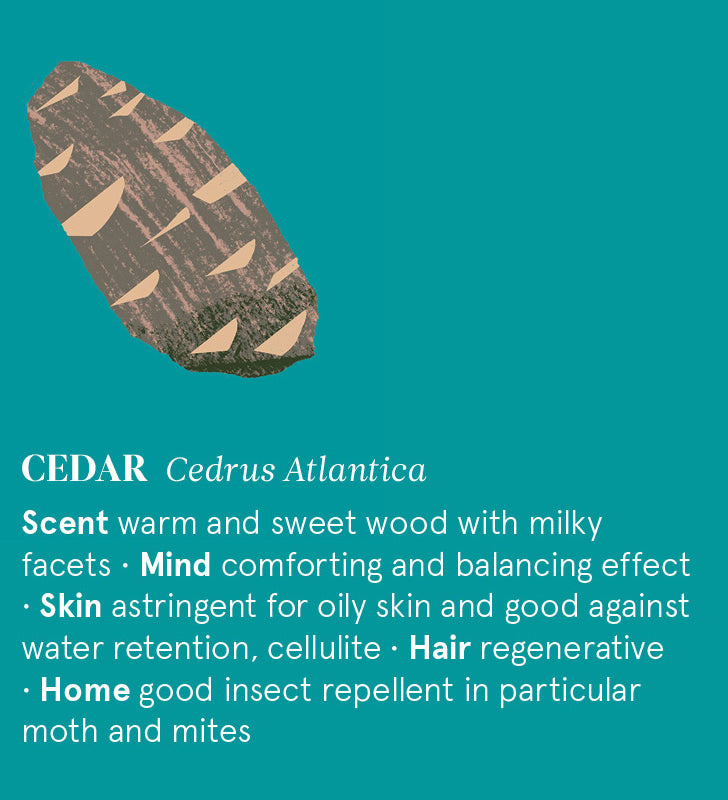 Infographic showing the main benefits of Cedar Atlas essential oil.