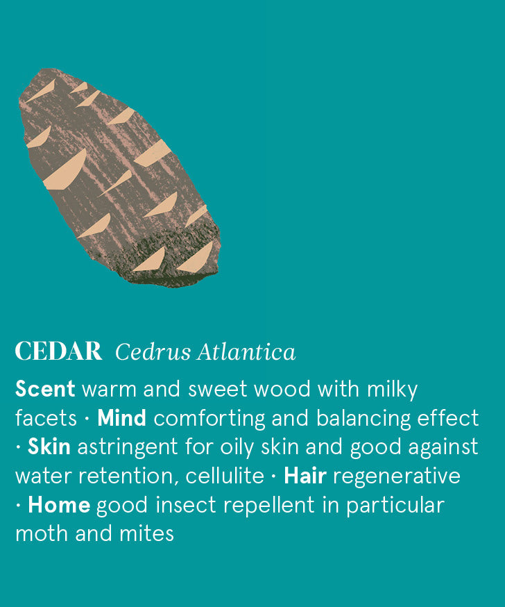 Infographic showing the main benefits of Cedar Atlas essential oil.