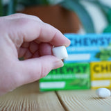 Chewsy Plastic Free Chewing Gum - Spearmint