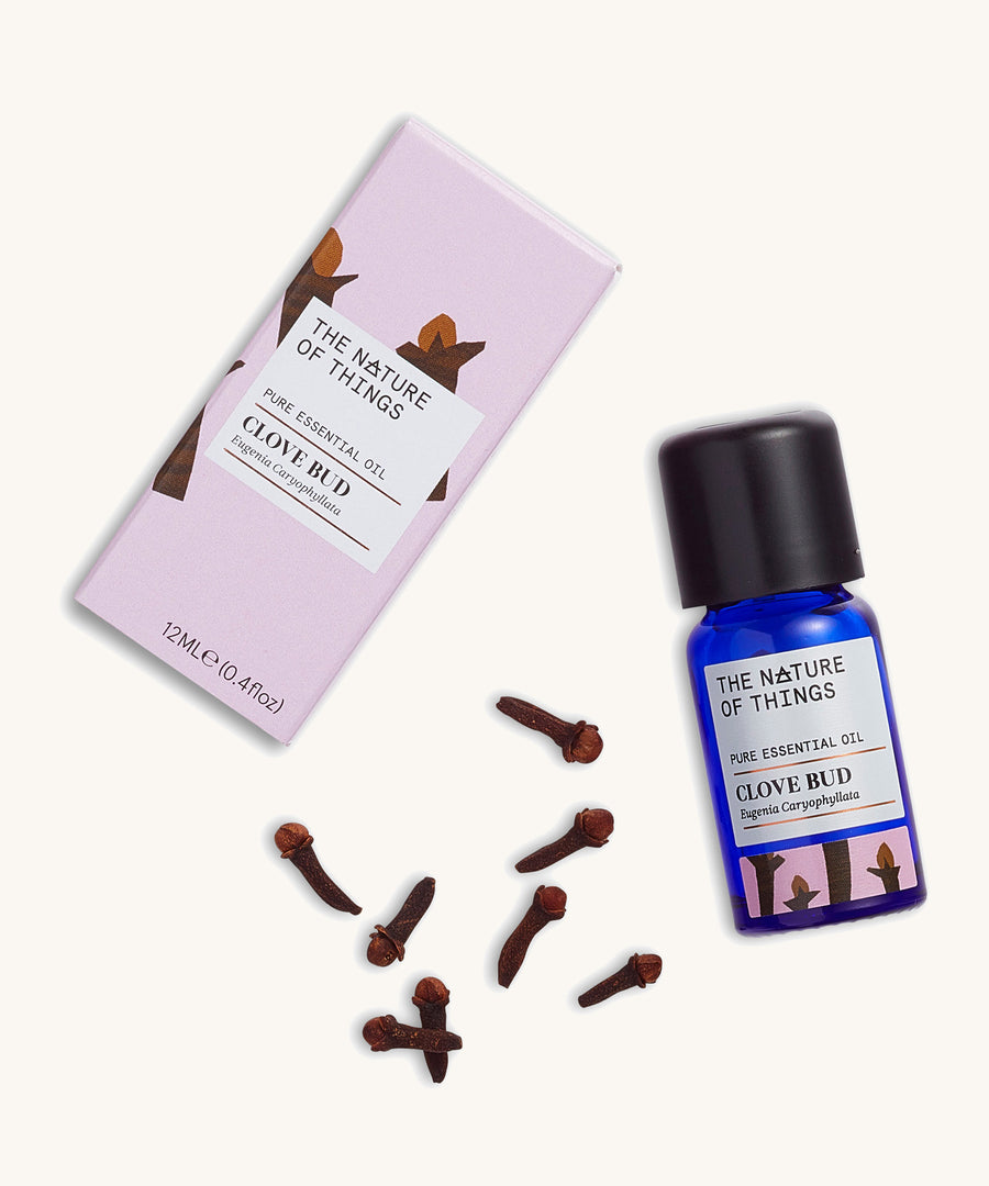 Organic Clove Bud pure essential oil in a blue glass bottle next to a decorative pink cardboard box, with cloves.