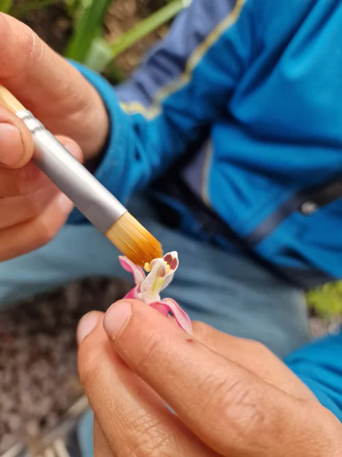 Child using the brush from the Dr Zigs bubble pollinator kit