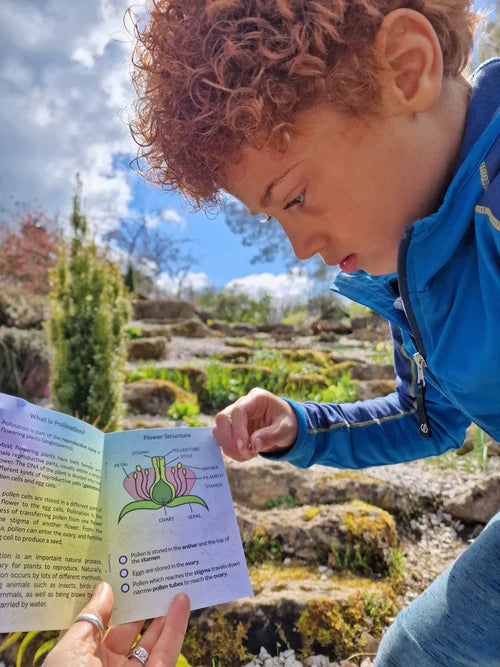 Child looking at the information leaflet from the Dr Zigs bubble pollinator kit