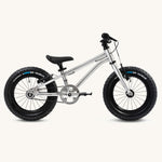 Early Rider Seeker 14" Kids Bike