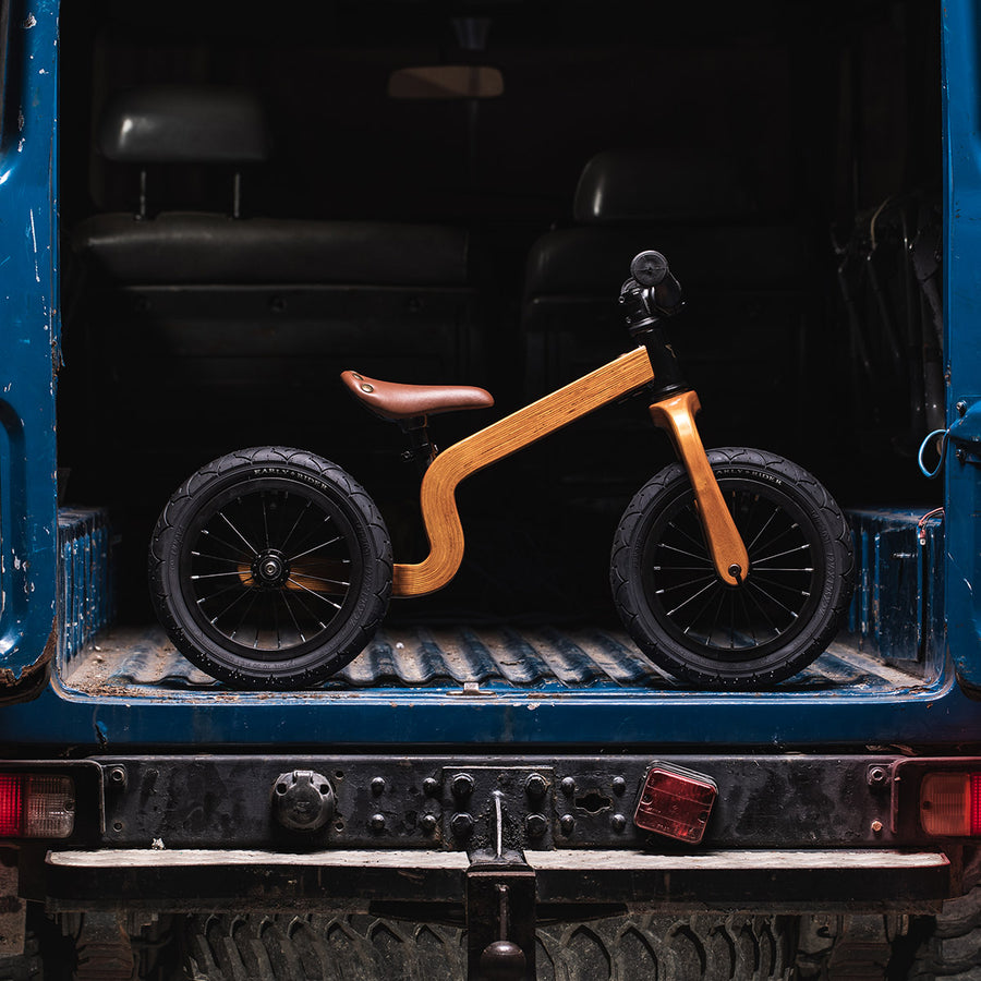 early rider bonsai bike pictured on the back of a truck