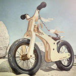 Early Rider Lite Balance Bike