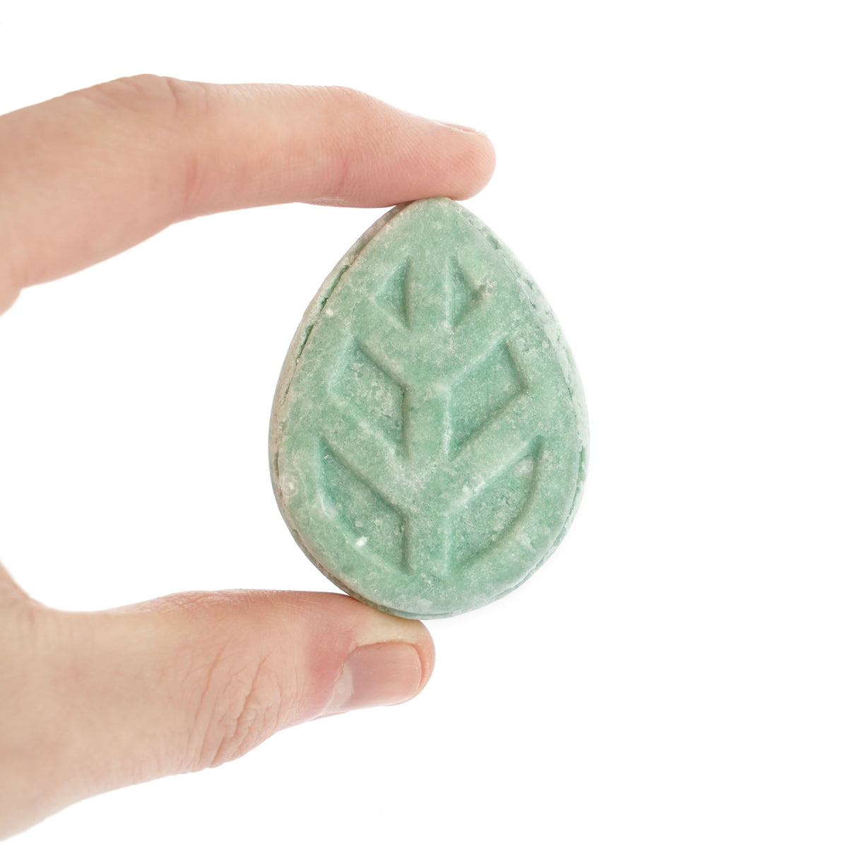 Close up of a hand holding a small Ecoliving solid shampoo sample bar on a white background