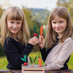 Erzi Ensemble de nourriture pour jeu en bois avec potager et légumes