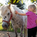 Erzi Horse Care Accessory Set