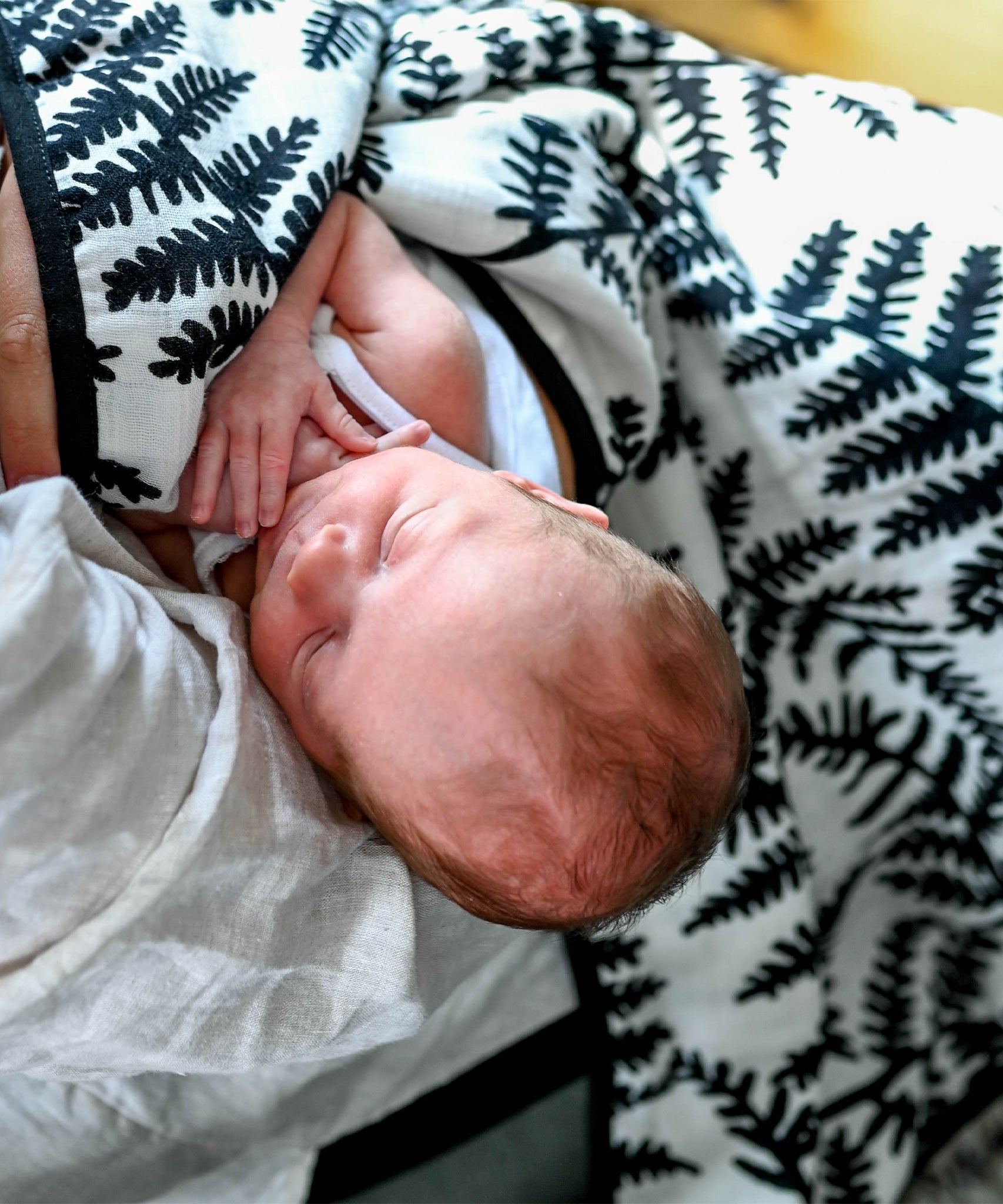 A baby sleep and snuggling under the Etta Loves Reversible Organic Cotton Muslin Blanket - Plant Print showing the Fern side of the muslin blanket