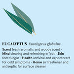 Organic Eucalyptus Essential Oil 12ml