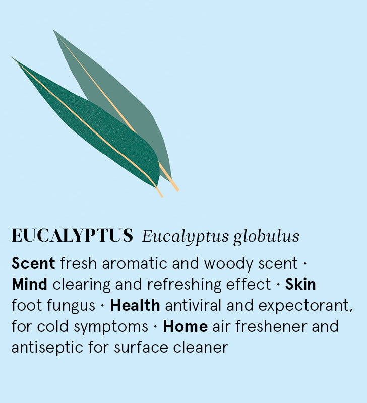 Infographic showing the main benefits of Eucalyptus essential oil.