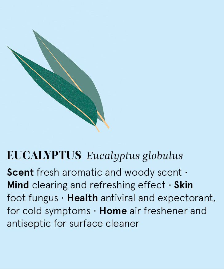 Infographic showing the main benefits of Eucalyptus essential oil.