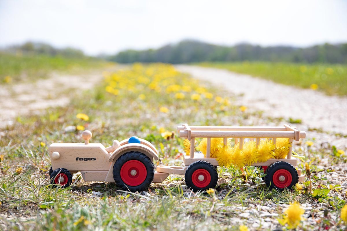 Fagus wooden tractor and hay wagon in aa grass field carrying some dandelions