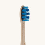 Georganics Beechwood Toothbrush - Firm Bristle