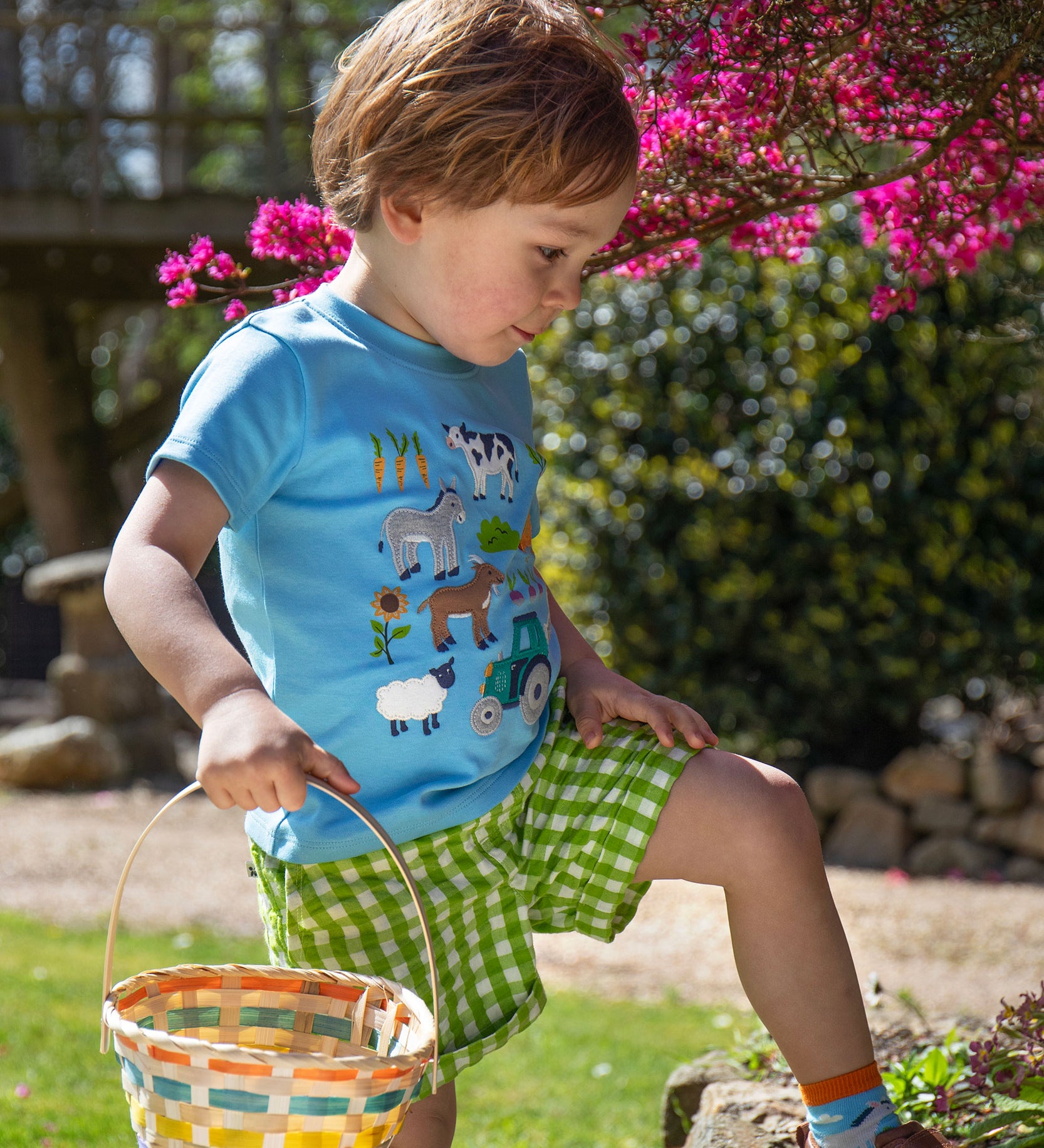 A child wearing the Frugi Giles green coloured Macaw Gingham Shorts with a blue farm life themed short sleeved t-shirt. 