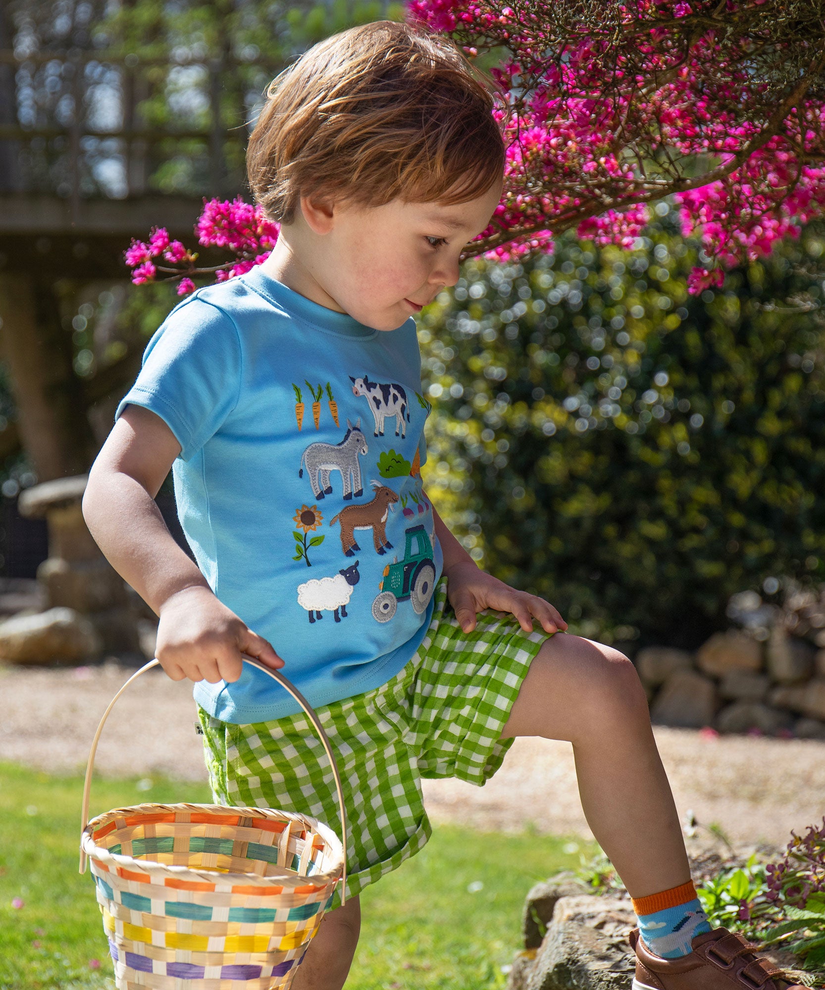 A child wearing the Frugi Giles green coloured Macaw Gingham Shorts with a blue farm life themed short sleeved t-shirt. 