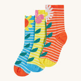 Frugi Rock My Chaussettes 3-Pack - Échinacée