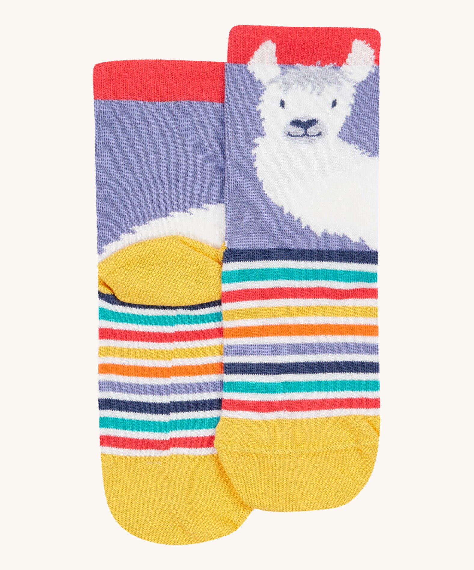 A close up of the Frugi llama rock my socks. A lilac and striped sock with a white llama print on the front and back Features a yellow heel and toe contrast panel with red ankle cuff trim on organic cotton fabric