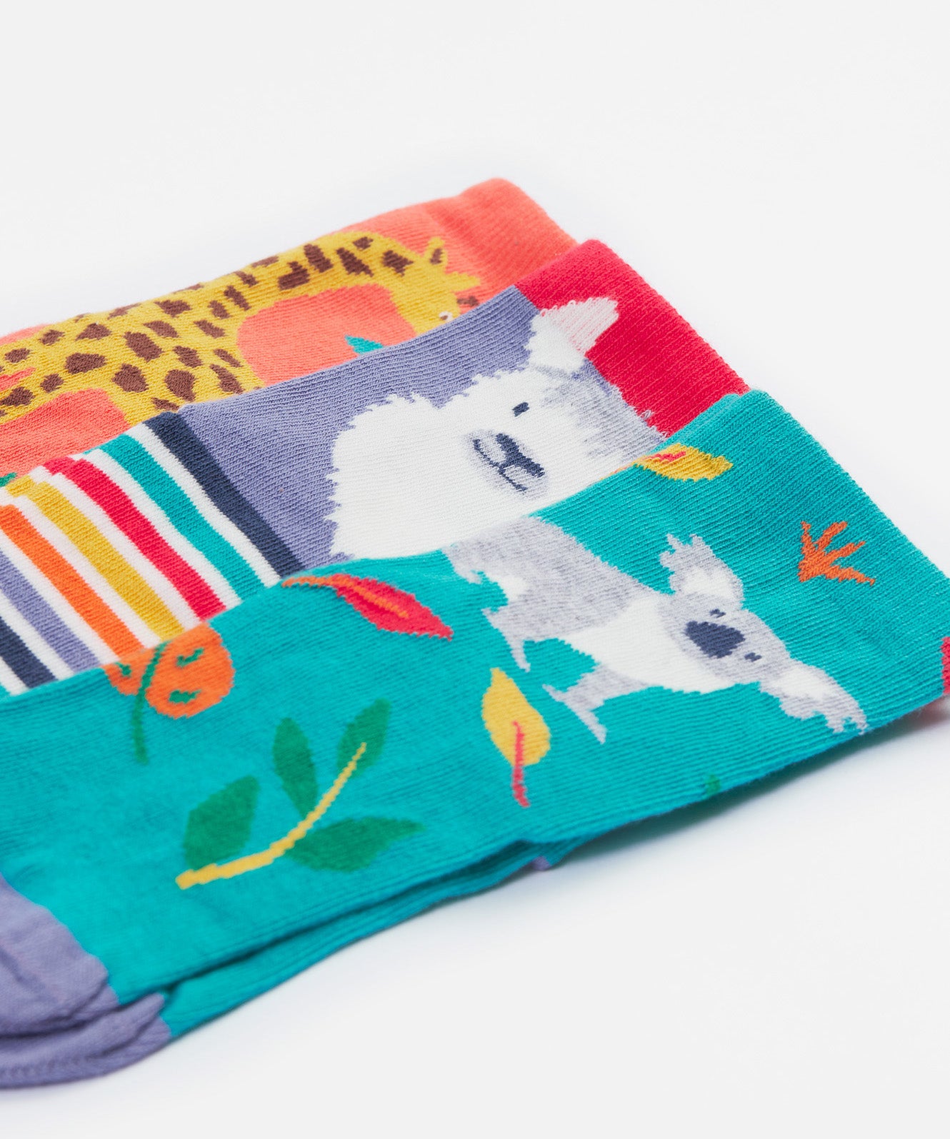 Close up of the Frugi kids rock my socks 3 pack, zoologist. Showing all 3 bright fun Frugi zoologist socks including a grey koala, white llama and a giraffe sock on organic cotton fabric