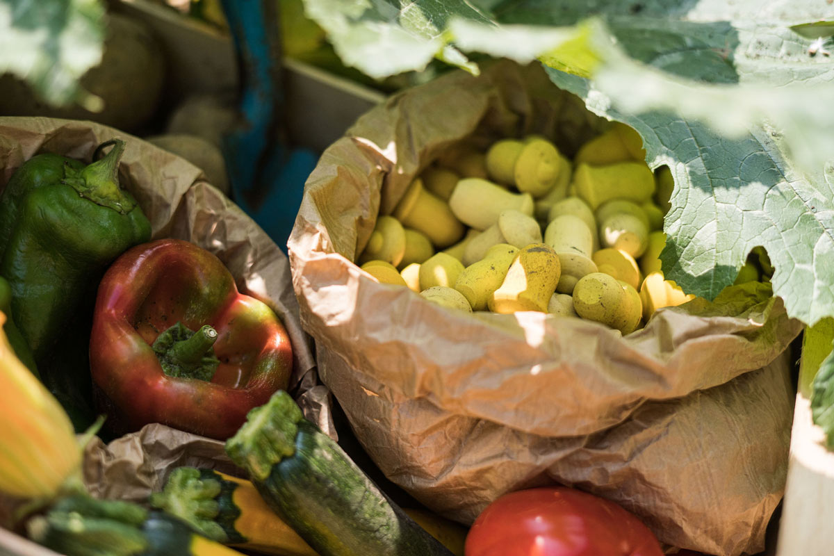 Close up of some Grapat eco-friendly wooden mandala tulips in a paper bag next to some vegetables