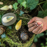 Ensemble de créatures sauvages de Grapat