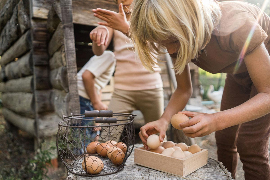 Close up of children filling the Grapat eco-friendly wooden storage box with chickens eggs