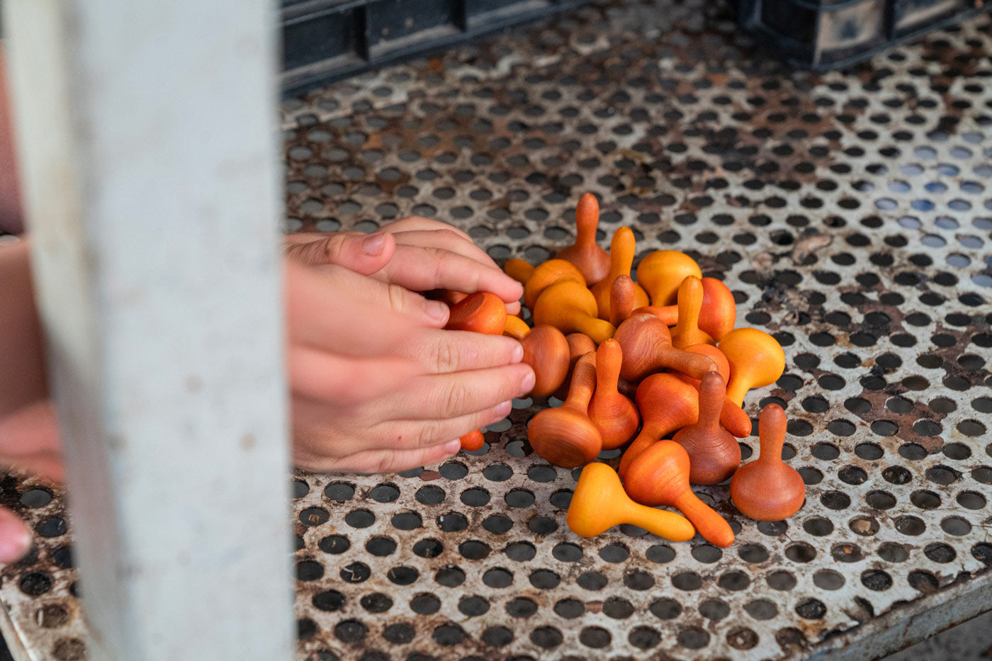 Close up of a child's hands reaching out to scoop up some Grapat wooden Waldorf mandala pumpkins