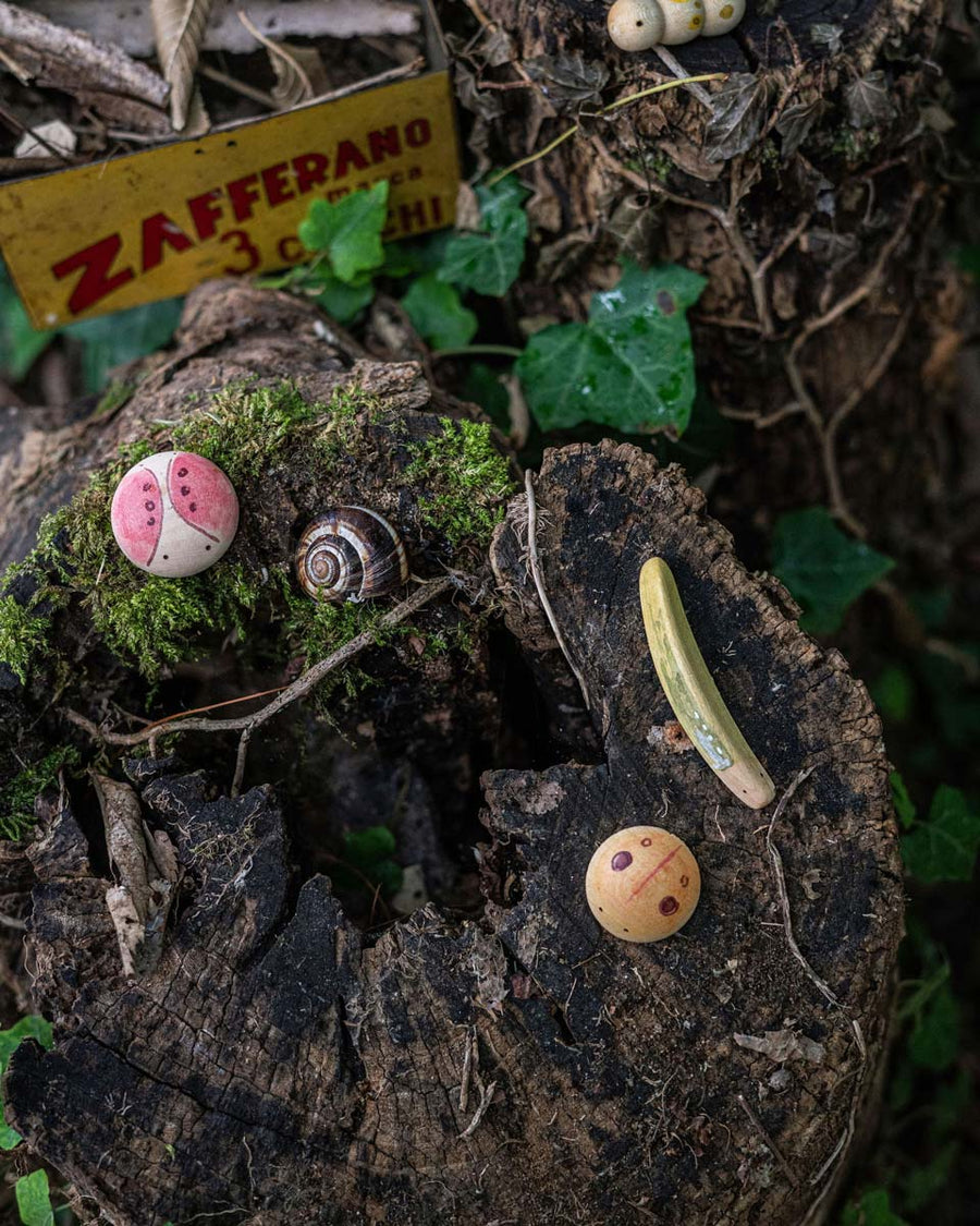 Grapat eco-friendly wooden childrens wild insect toys laid out on a tree stump next to a brown snail