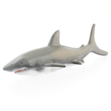 Requin de jouets en caoutchouc vert