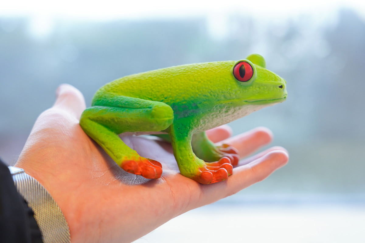 Close up of hand holding the green rubber toys eco-friendly and plastic free red eye tree frog figure