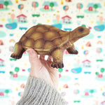 Green Rubber Toys Tortoise