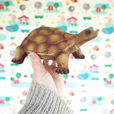 Green Rubber Toys Tortoise