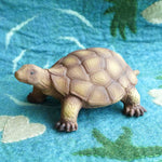 Green Rubber Toys Tortoise