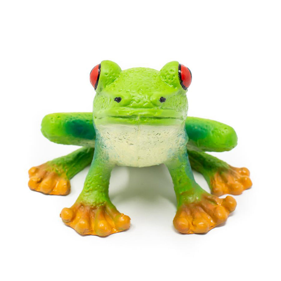 Front view of the Green Rubber Toys eco-friendly green tree frog figure sat on a white background