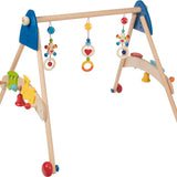 Heimess Baby Gym & Walker Train