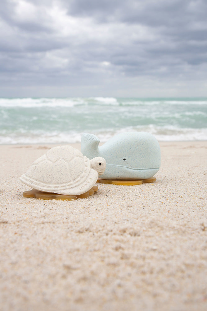 Hevea natural rubber turtle and whale bath toys on the beach