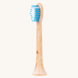 Têtes de brosse de rechange professionnelles Hydrophil Bamboo Sonic