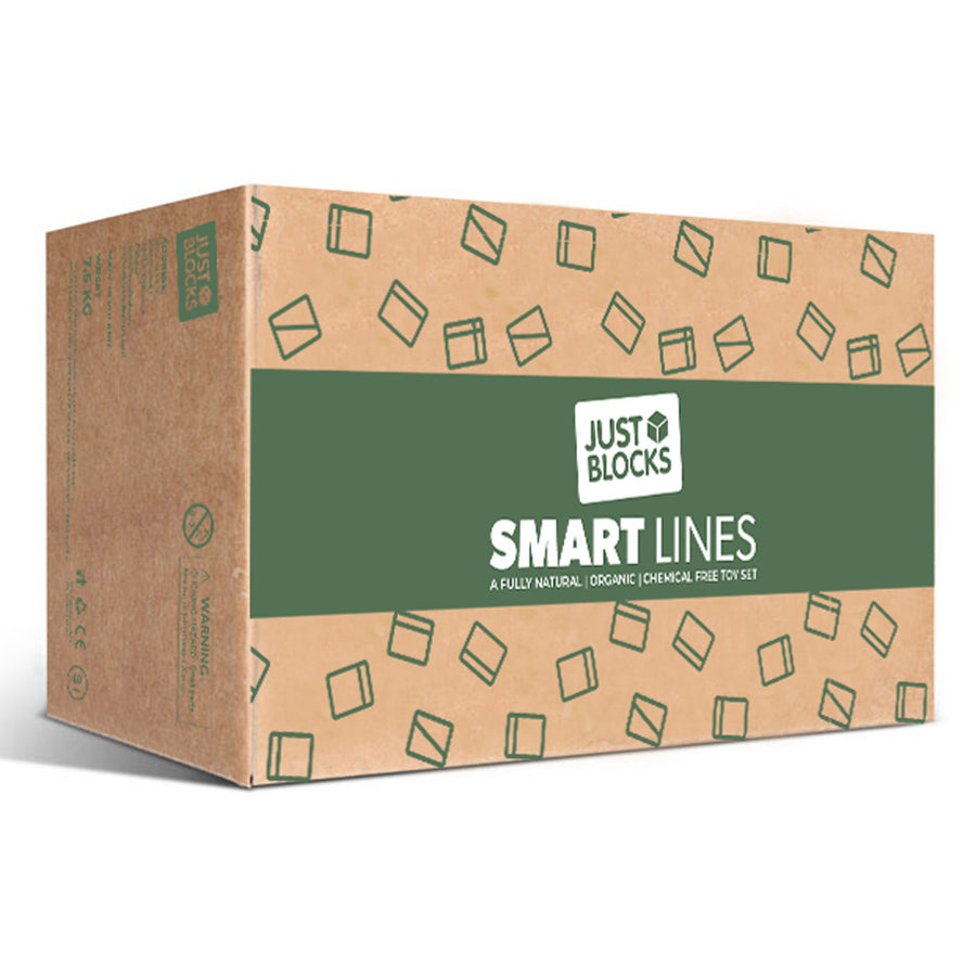 Cardboard box for the Just Blocks Smart Lines 166 building blocks set on a white background